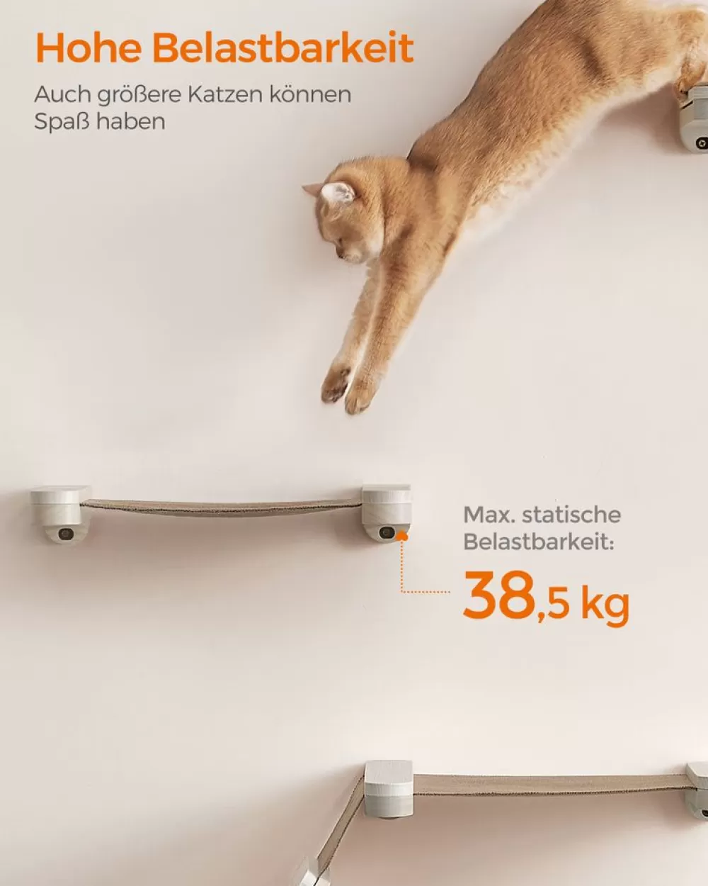 clickat_kollektion__nr__katzenhngematte_zur_wandmontage_4.webp Best SONGMICS Clickat Kollektion - Nr. 001 Katzenhängematte zur Wandmontage Haferflockenbraun-Kaffeebraun