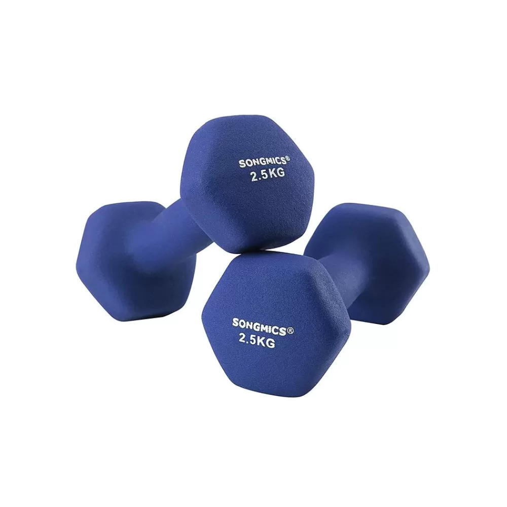 Flash Sale SONGMICS Hanteln 2er Set Blau
