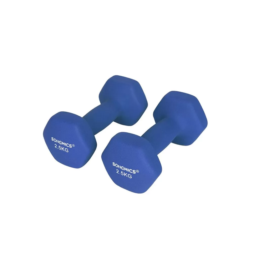 Flash Sale SONGMICS Hanteln 2er Set Blau