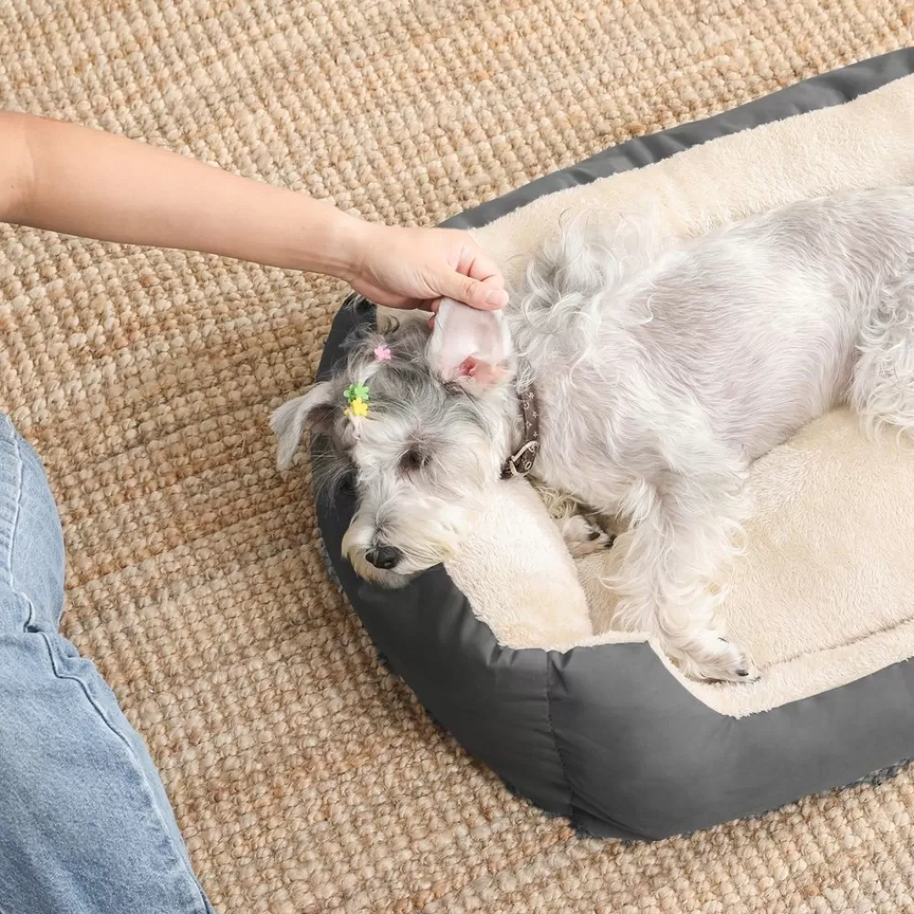 Store SONGMICS Hundebett 65 x 55 x 20 cm mit Wendekissen Grau