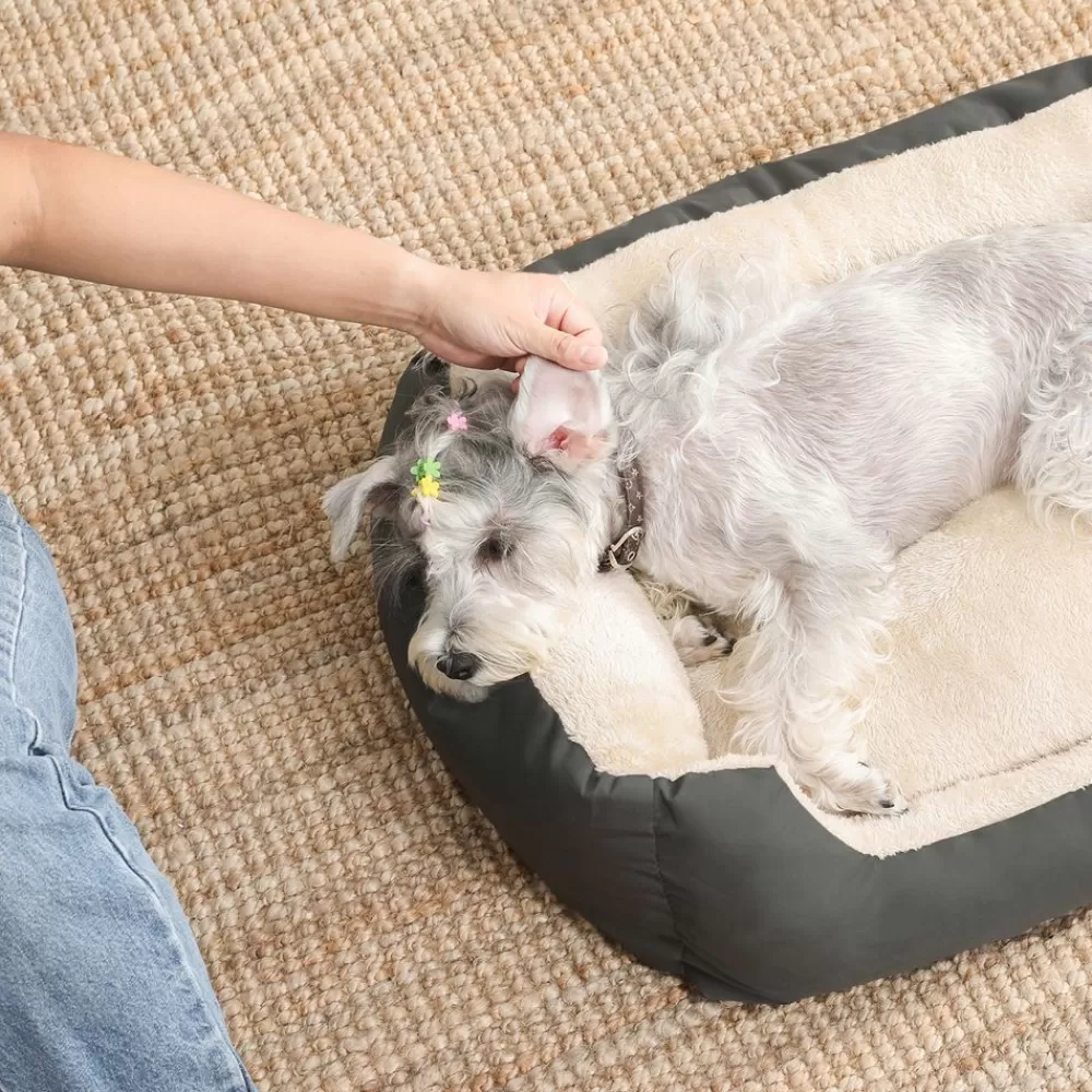 Fashion SONGMICS Hundebett 80 x 65 x 20 cm mit Wendekissen Grau