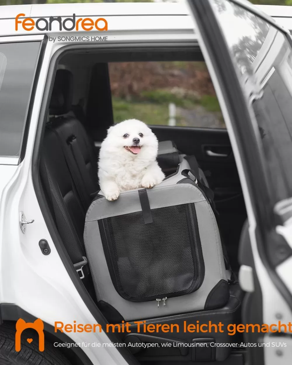 Store SONGMICS Hundebox M aus Oxford-Gewebe mit Griffen rauchgrau