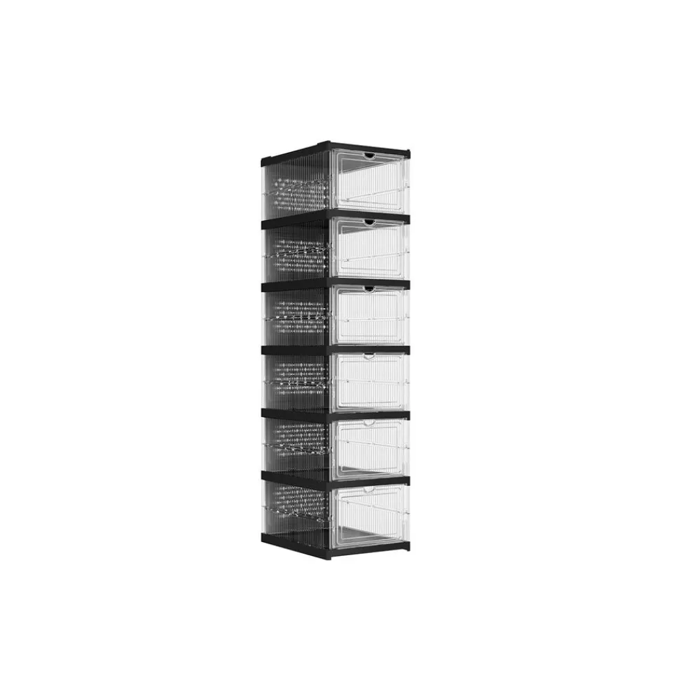 Outlet SONGMICS Schuhschrank mit 6 Schuhboxen transparent-tintenschwarz