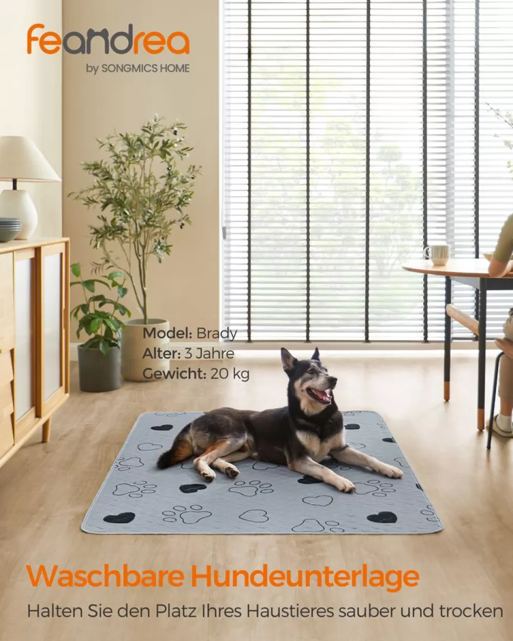 Best SONGMICS Welpen-Unterlagen waschbar 152 x 122 cm 2er Set XL